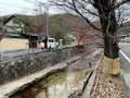 紺屋川美観地区の写真_405193