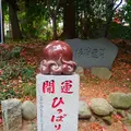 たこ杉の写真_405225