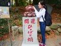 たこ杉の写真_405227