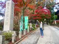 清滝駅の写真_405287