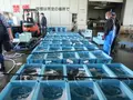 舞鶴西港の写真_405365