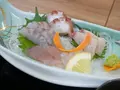 漁師町ととまーとの写真_405367