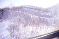 天狗山の写真_406505