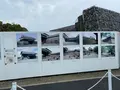 熊本城の写真_406578