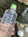 白川水源の写真_406806