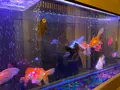 上田屋の写真_406990
