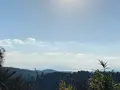 霧島神宮の写真_407037