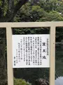 富士山本宮浅間大社の写真_407424