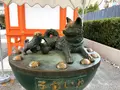 水天宮の写真_407600