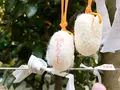 小網神社の写真_407604