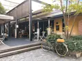 crisscross （クリスクロス）の写真_407993