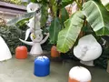 岡本太郎記念館の写真_408004