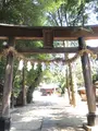 中山神社の写真_408698