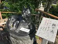 鎮守氷川神社の写真_408711