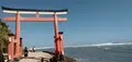 青島神社の写真_409147