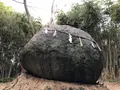 神在神社の写真_409727