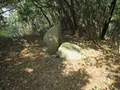 朝鮮通信使客館跡の写真_409833