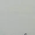 相島の写真_409834