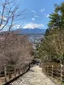 新倉山浅間公園の写真_409840