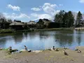 忍野八海の写真_409845