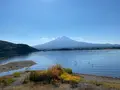 河口湖木ノ花美術館の写真_409846