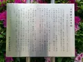 墨田区立竪川中学校の写真_409950