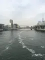 両国橋の写真_409969
