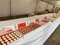 吉備津彦神社の写真_410088