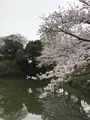 下之橋御門の写真_410096