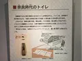 鴻臚館跡展示館の写真_410116