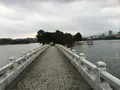 大濠公園の写真_410121