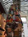 上川端商店街の写真_410245