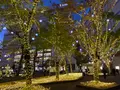 警固公園の写真_410246