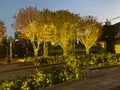 警固公園の写真_410247