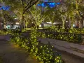 警固公園の写真_410248