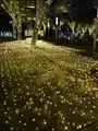 警固公園の写真_410253