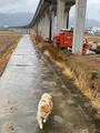 三谷駅の写真_410404