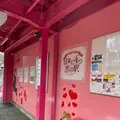 恋山形駅の写真_410406
