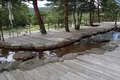 えびの高原温泉足の湯の写真_410488