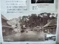 池上本門寺の写真_410492