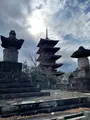 池上本門寺の写真_410503