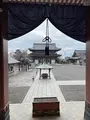 池上本門寺の写真_410506