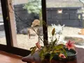 発酵カフェ小春日和の写真_410924