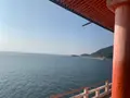 阿伏兎観音の写真_410991