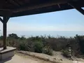 仙酔島の写真_411072