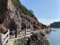 仙酔島の写真_411077