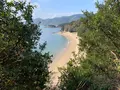 仙酔島の写真_411080