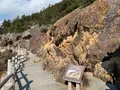 仙酔島の写真_411081