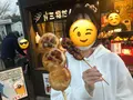 忍野八海の写真_411273