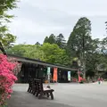 霧島神宮の写真_411373